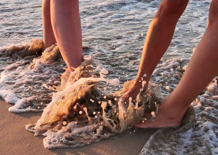 Elimar * Burgas City